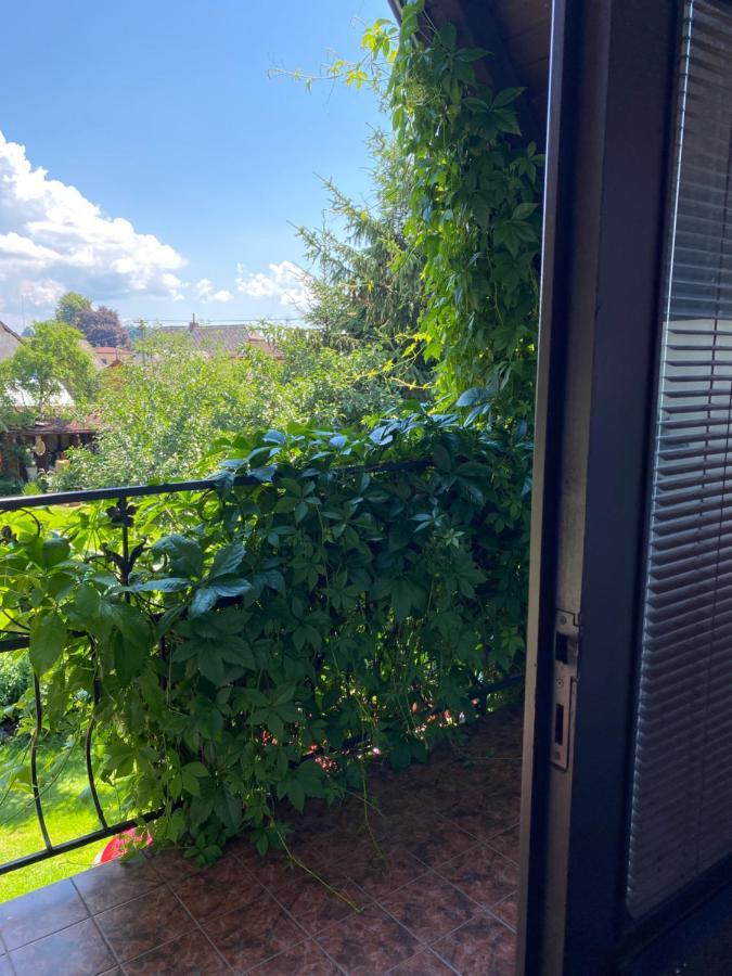 Penzion Country Club Hotel Žamberk Eksteriør billede